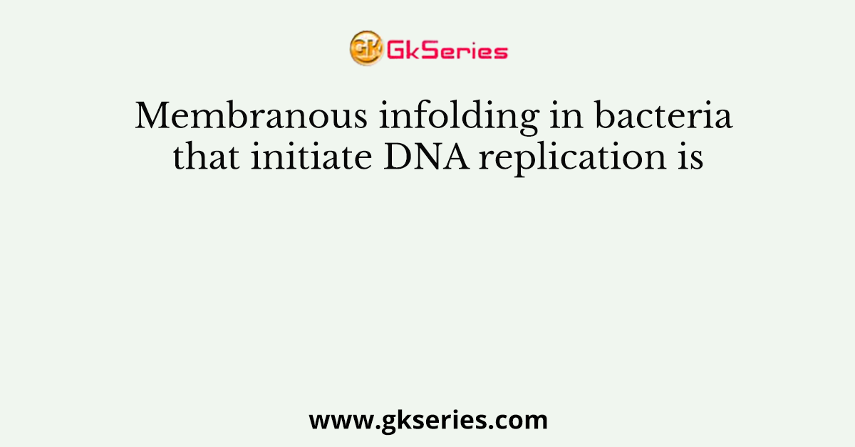 Membranous infolding in bacteria that initiate DNA replication is