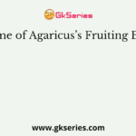 Name of Agaricus’s Fruiting Body