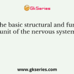 Name the basic structural and functional unit of the nervous system