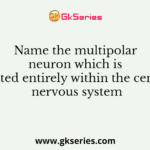 Name the multipolar neuron which is located entirely within the central nervous system