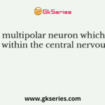 Name the multipolar neuron which is located entirely within the central nervous system