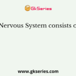 Nervous System consists of