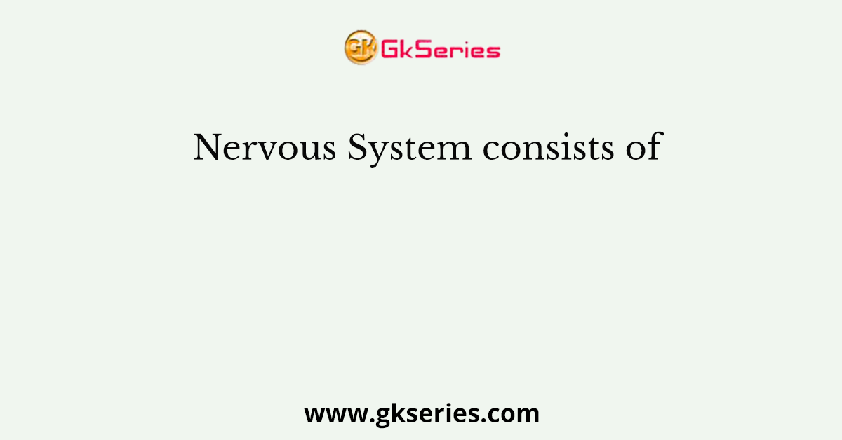 Nervous System consists of
