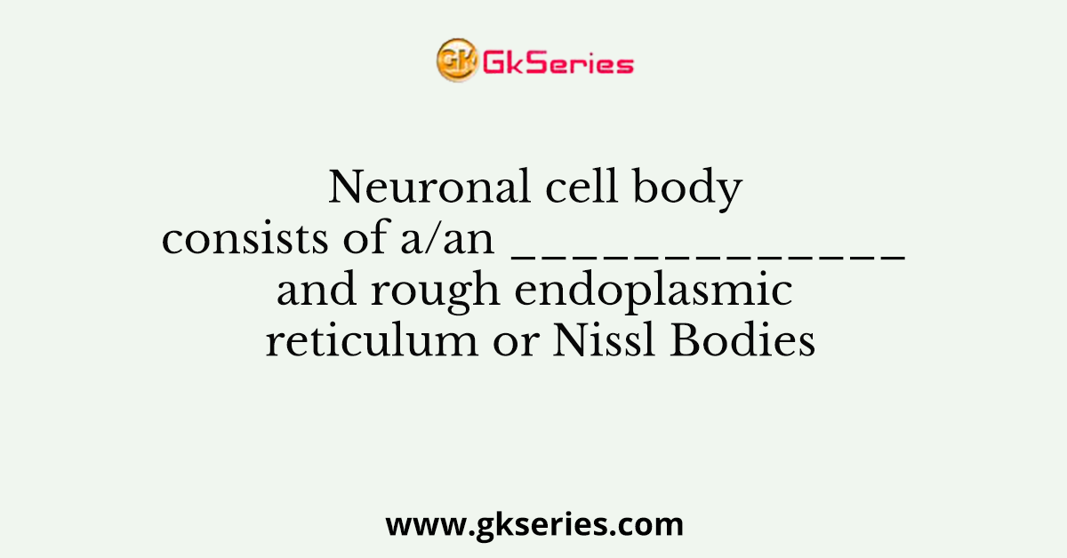 Neuronal cell body consists of a/an _____________ and rough endoplasmic reticulum or Nissl Bodies