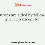 Neurons are aided by following glial cells except for