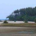 Odisha to invest Rs 261 crore in livelihood action plan