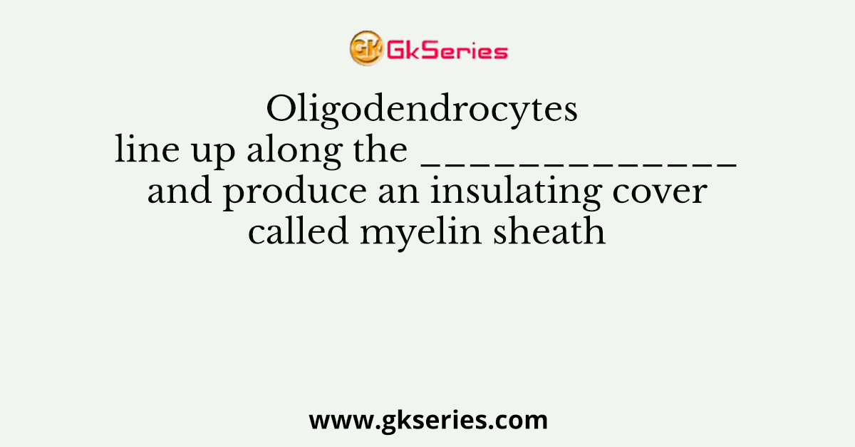 Oligodendrocytes line up along the _____________ and produce an insulating cover called myelin sheath