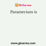 Paramecium is
