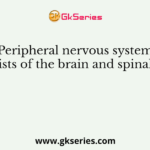 Peripheral nervous system consists of the brain and spinal cord