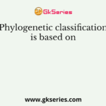 Phylogenetic classification is based on