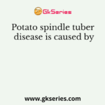 Potato spindle tuber disease is caused by
