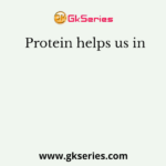 Protein helps us in