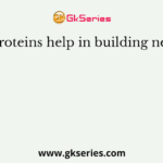 Proteins help in building new
