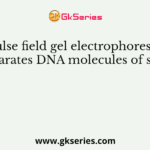 Pulse field gel electrophoresis separates DNA molecules of size
