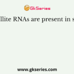 Satellite RNAs are present in some
