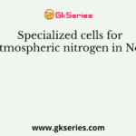 Specialized cells for fixing atmospheric nitrogen in Nostoc are