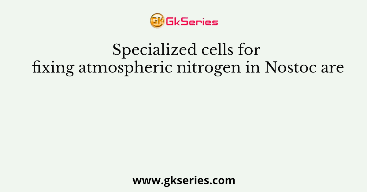 Specialized cells for fixing atmospheric nitrogen in Nostoc are