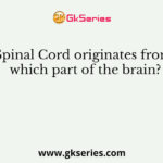Spinal Cord originates from which part of the brain?