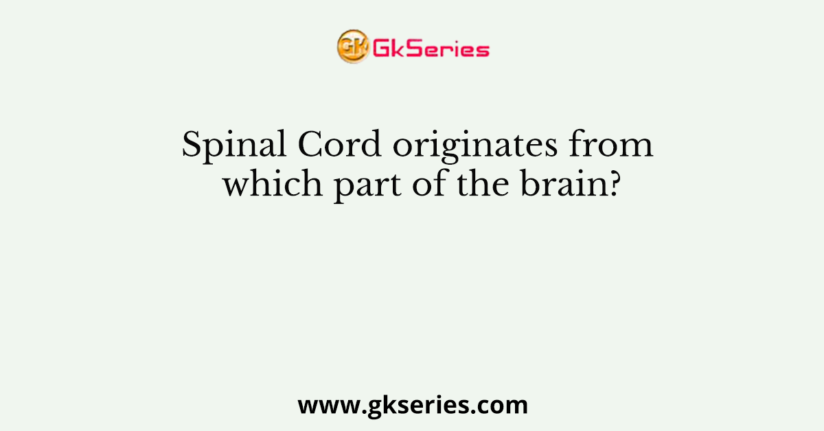 Spinal Cord originates from which part of the brain?
