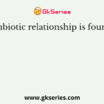Symbiotic relationship is found in