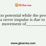 The action potential while the propagation of a nerve impulse is due to the movement of________