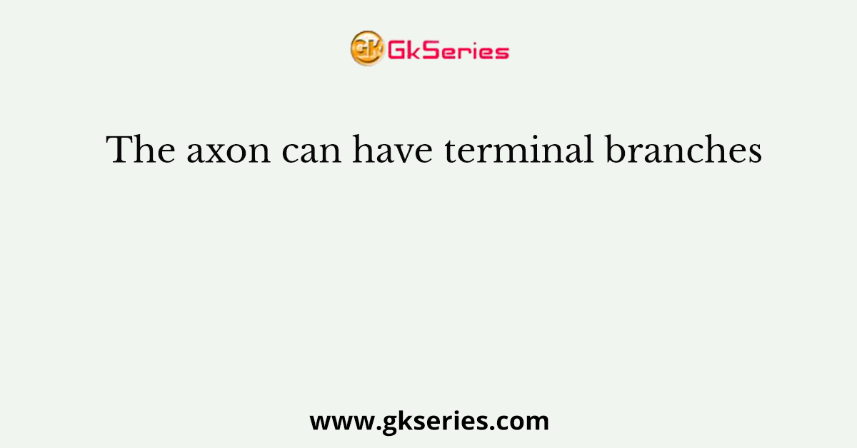 The axon can have terminal branches