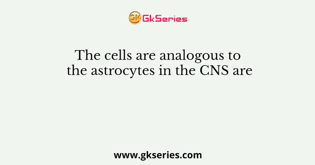 The cells are analogous to the astrocytes in the CNS are