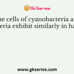The cells of cyanobacteria and bacteria exhibit similarly in having