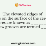 The elevated ridges of tissue on the surface of the cerebral hemispheres are known as ______ while the shallow grooves are termed ______