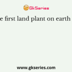 The first land plant on earth was