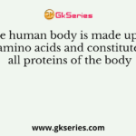 The human body is made up of amino acids and constitute all proteins of the body