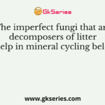 The imperfect fungi that are decomposers of litter and help in mineral cycling belong to