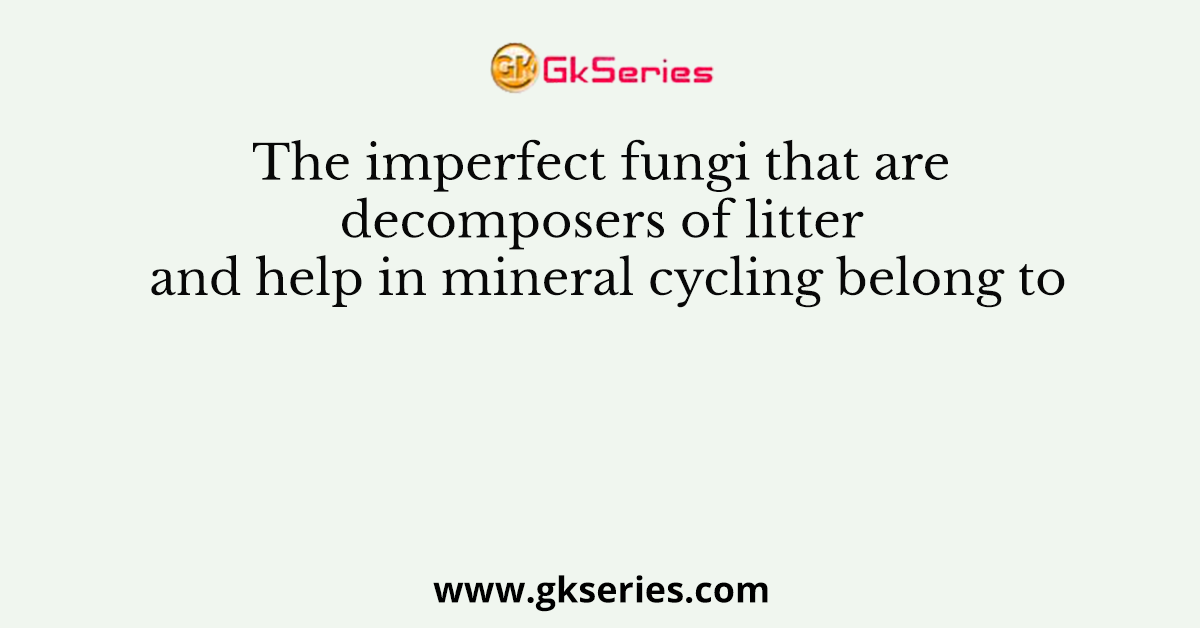 The imperfect fungi that are decomposers of litter and help in mineral cycling belong to