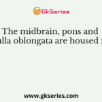 The midbrain, pons and medulla oblongata are housed in the