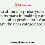 The most abundant prokaryotes helpful to humans in making curd from milk and in production of antibiotics are the ones categorized as