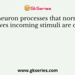 The neuron processes that normally receives incoming stimuli are called