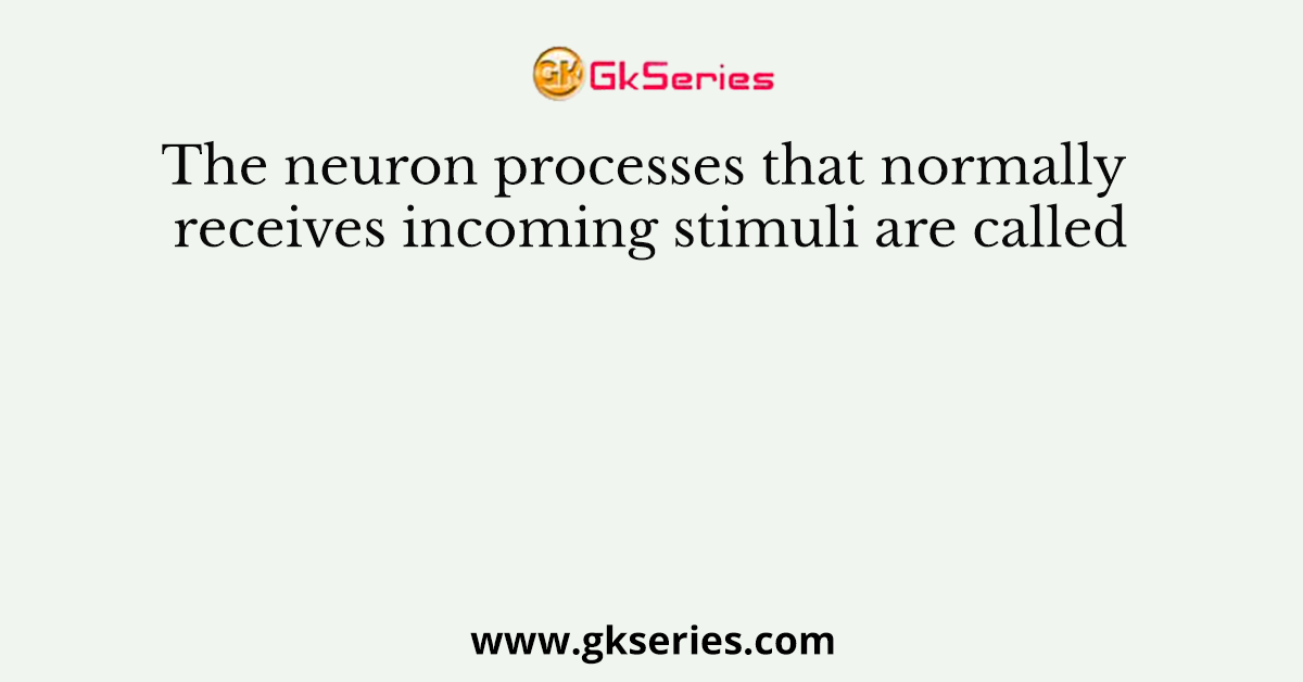 The neuron processes that normally receives incoming stimuli are called