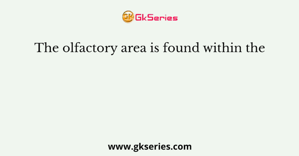 The olfactory area is found within the