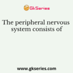 The peripheral nervous system consists of