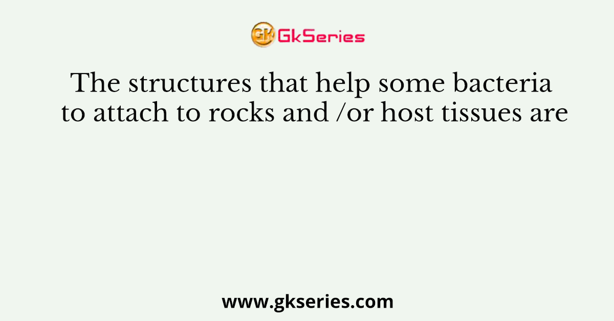 The structures that help some bacteria to attach to rocks and /or host tissues are
