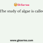 The study of algae is called