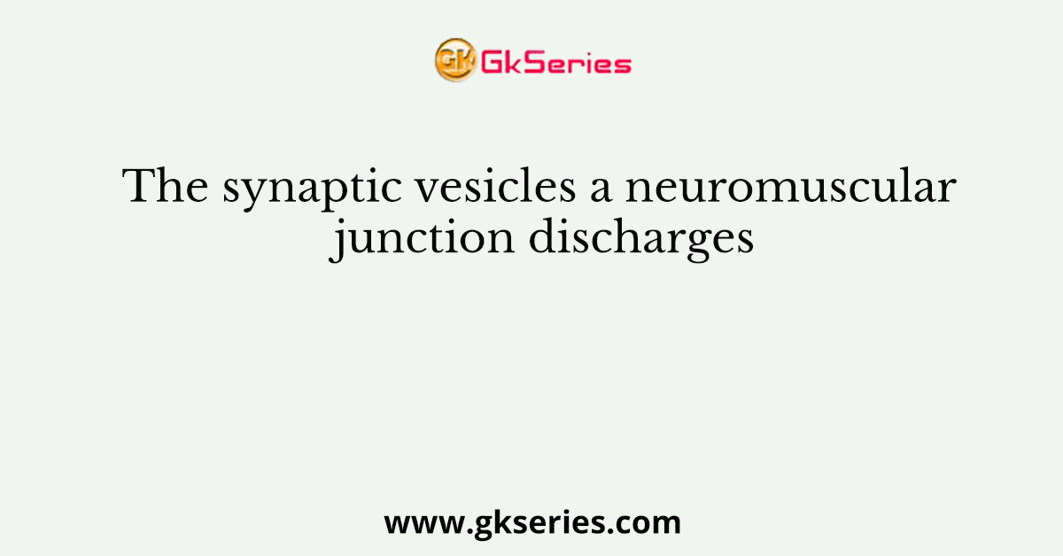 The synaptic vesicles a neuromuscular junction discharges