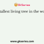 The tallest living tree in the world is
