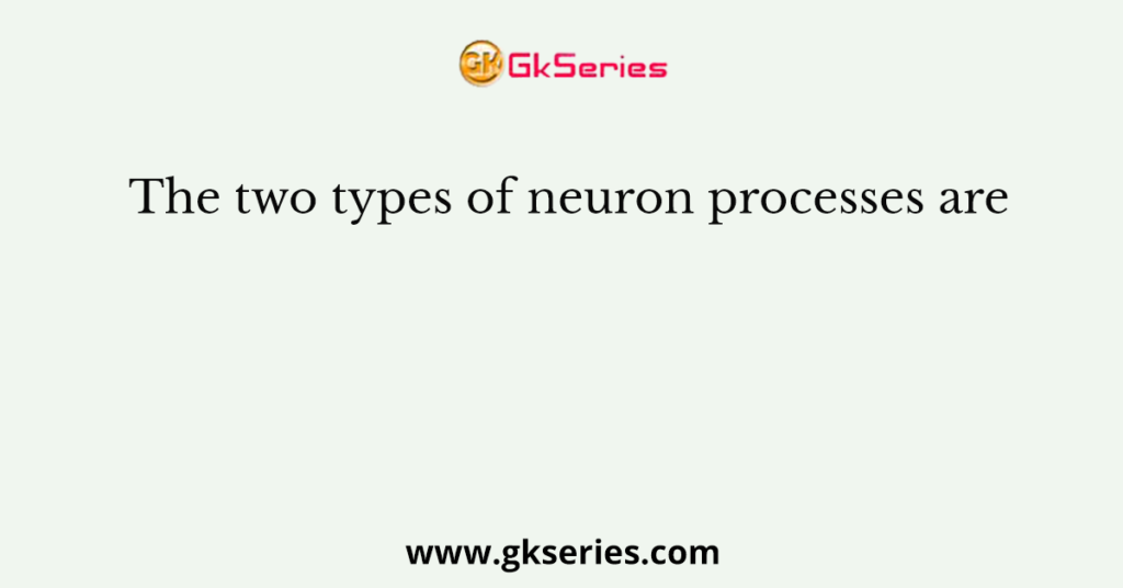 The two types of neuron processes are