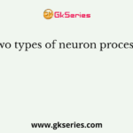 The two types of neuron processes are