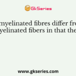 Unmyelinated fibres differ from myelinated fibers in that they?