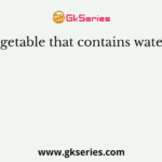 Vegetable that contains water is