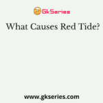 What Causes Red Tide?