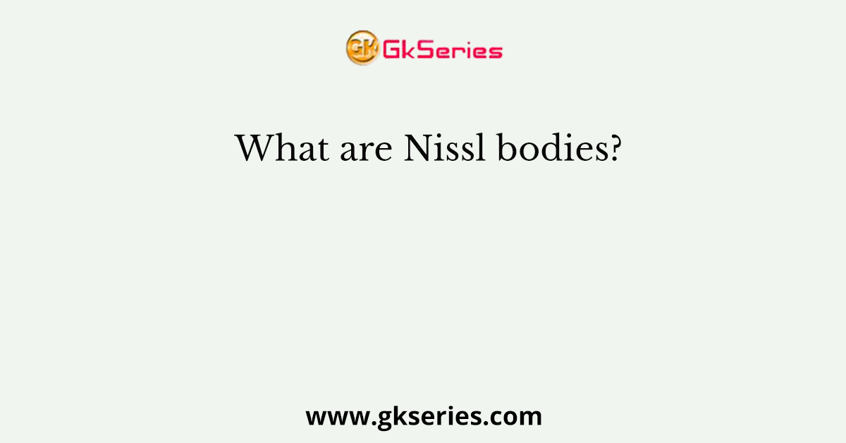 What are Nissl bodies?