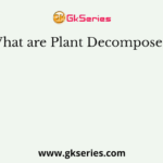 What are Plant Decomposers?